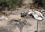 illegal camp 10